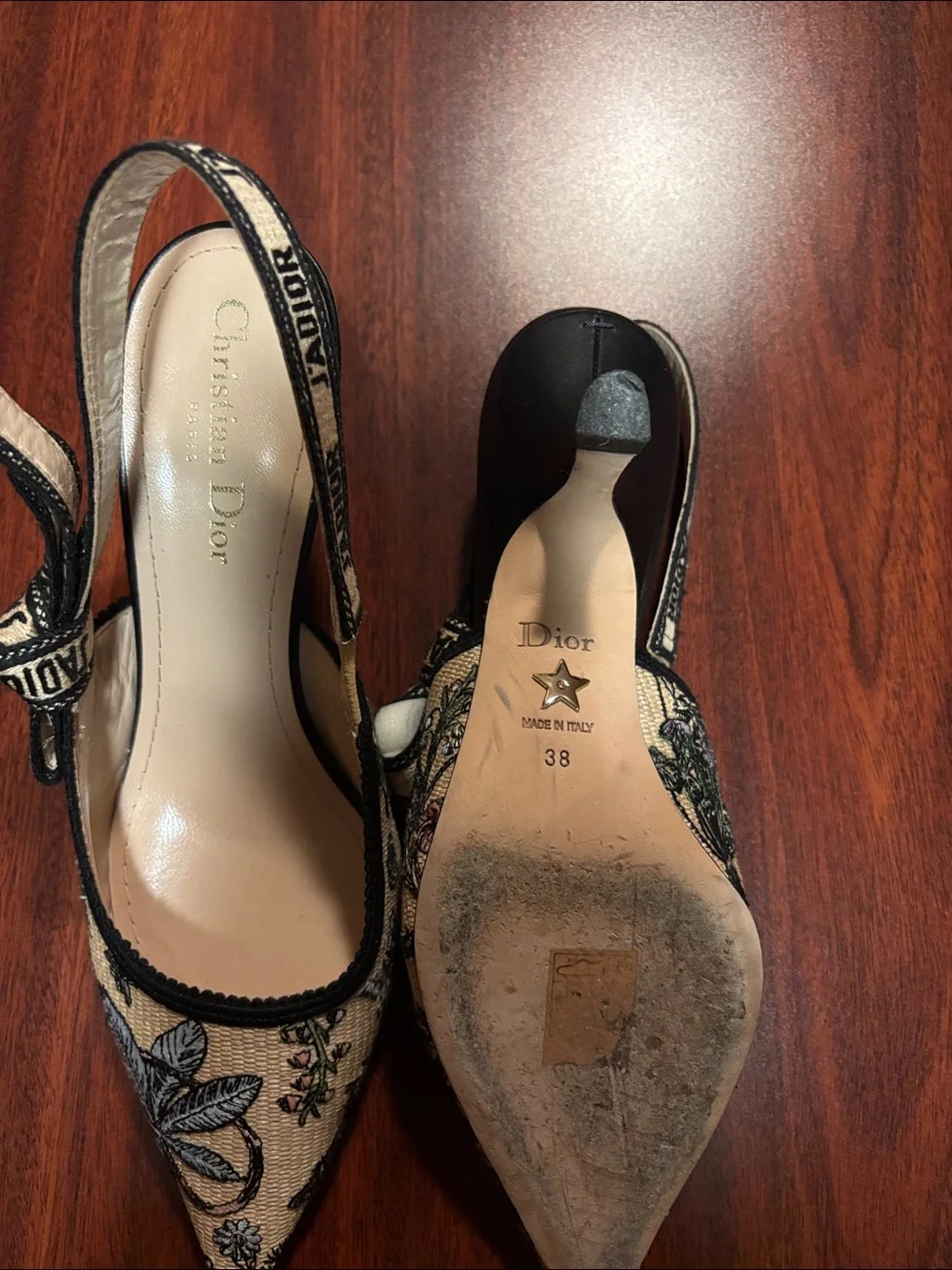 Dior Beige Embroidered Pointed Slingback Heels with Blue Floral Detail - Picture 2 of 6